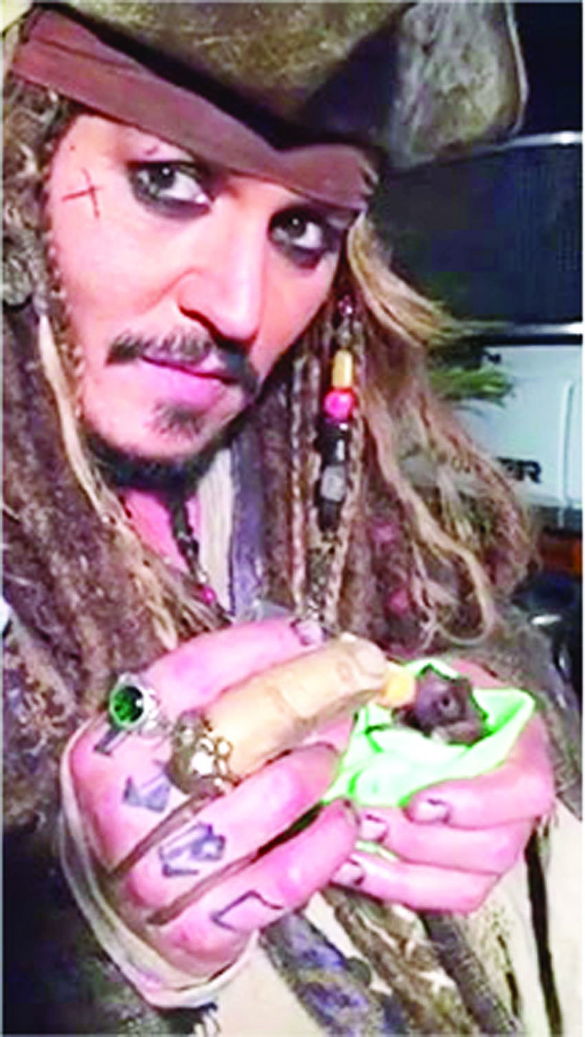 1437847367_johnny-depp-bat-article
