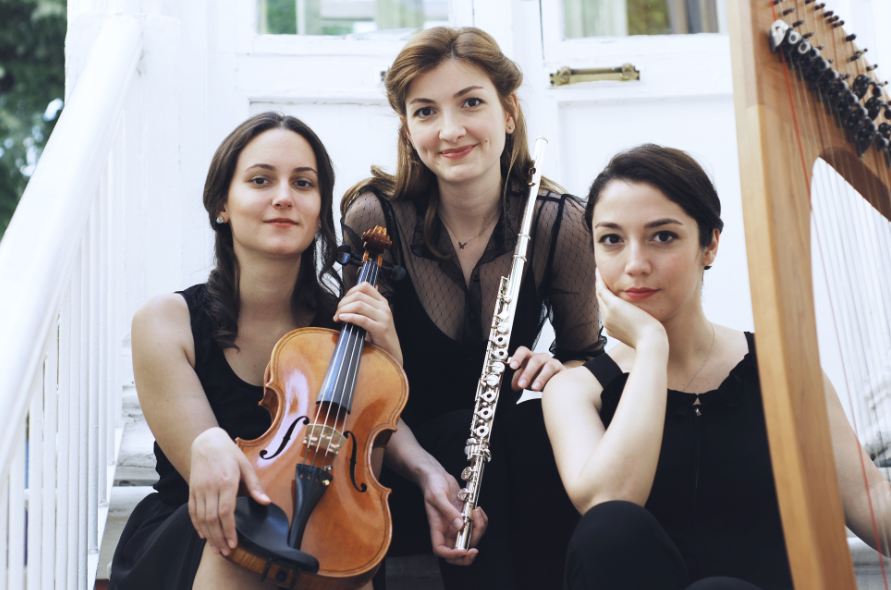 12.uluslararası D-Marin klasik müzik festivali için geri sayım başladı - 18311
