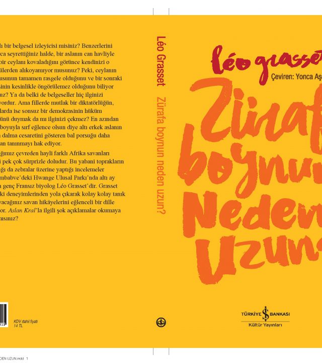 1474959023_ZurafaBoynunNedenUzun
