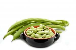 19551471 - some raw broad beans on white background