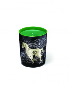 1510245021_285_TL_DIPTYQUE__yilbasi_serisi__BEYMEN_Frosted_Forest_candle_70g_CMJN