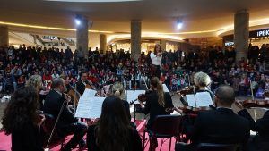 1513074538_Wilma_12_o