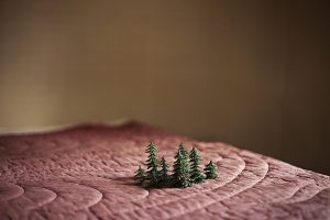 © "Anni Leppälä, courtesy Gallery Taik Persons and Leica Gallery Istanbul." _Anni_Leppala_Small_forest