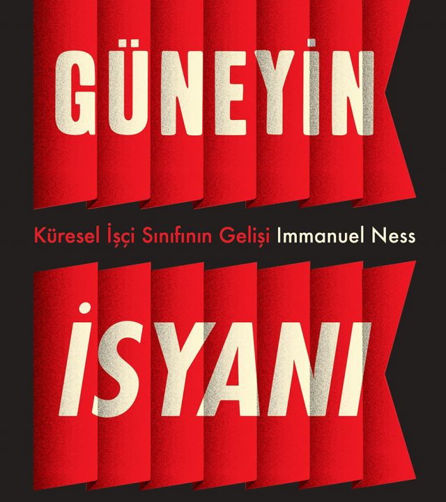 1518074993_Guneyin_Isyani