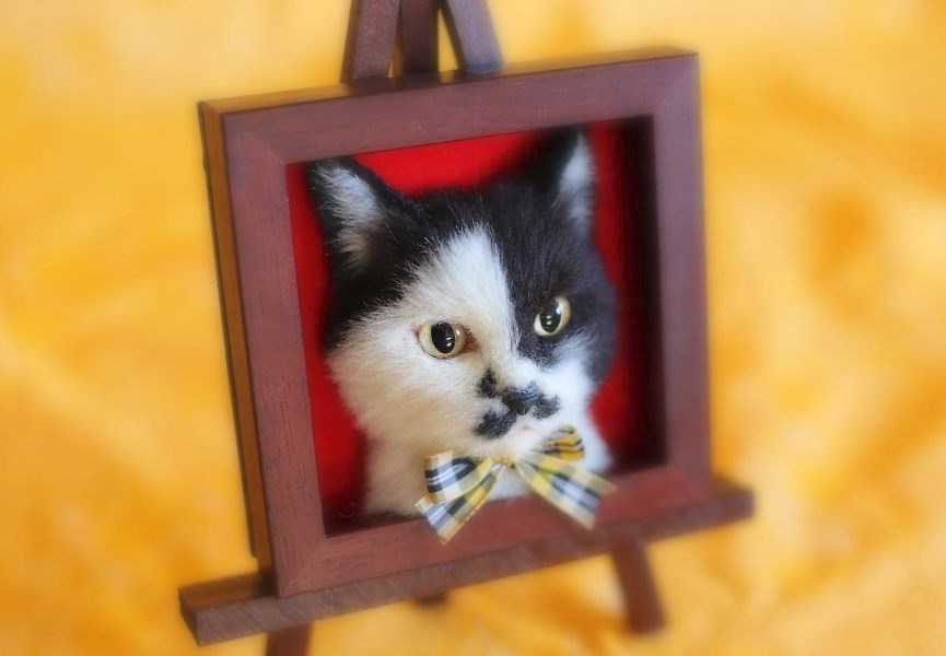 3D-Kedi-Portre-DivaMagazin (4)