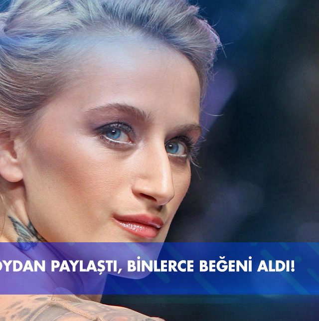 didem