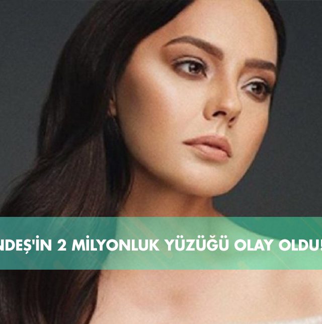 ebru gudnes