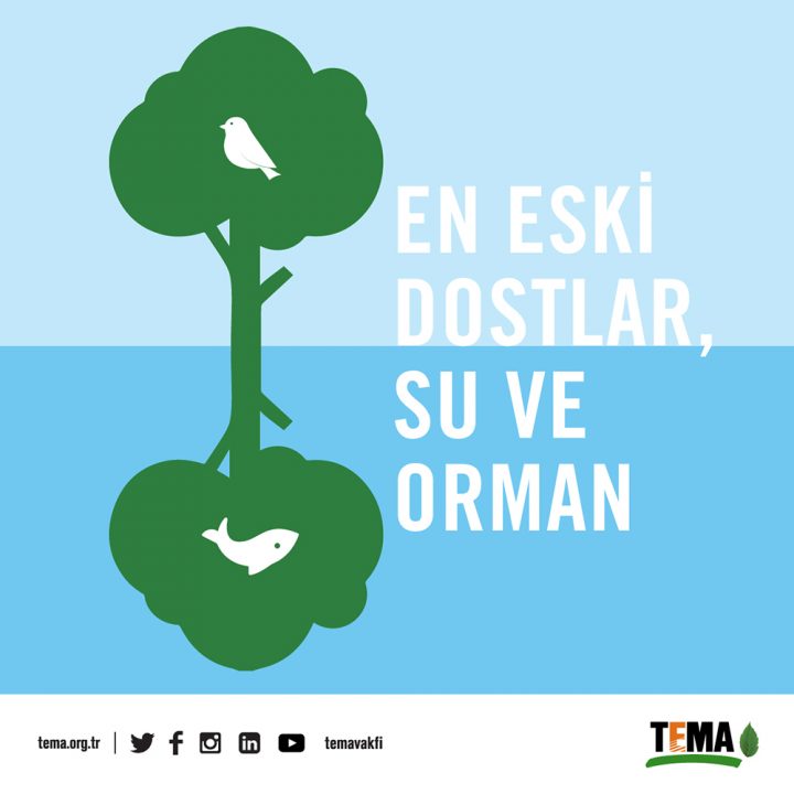 1200x1200_Su_Orman_2019