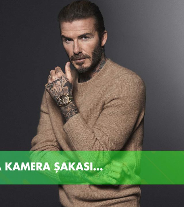 david