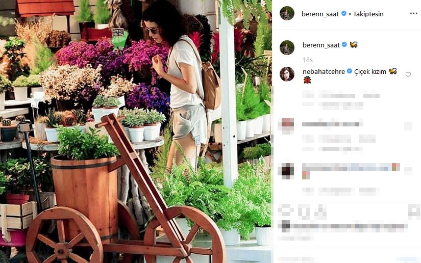 beren-saat-ic