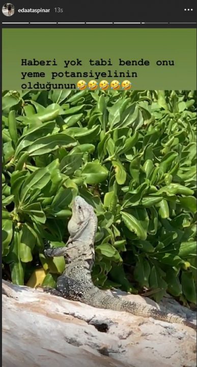 edataspinar2-instagram