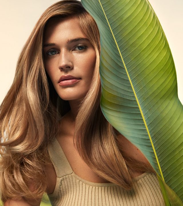 aveda